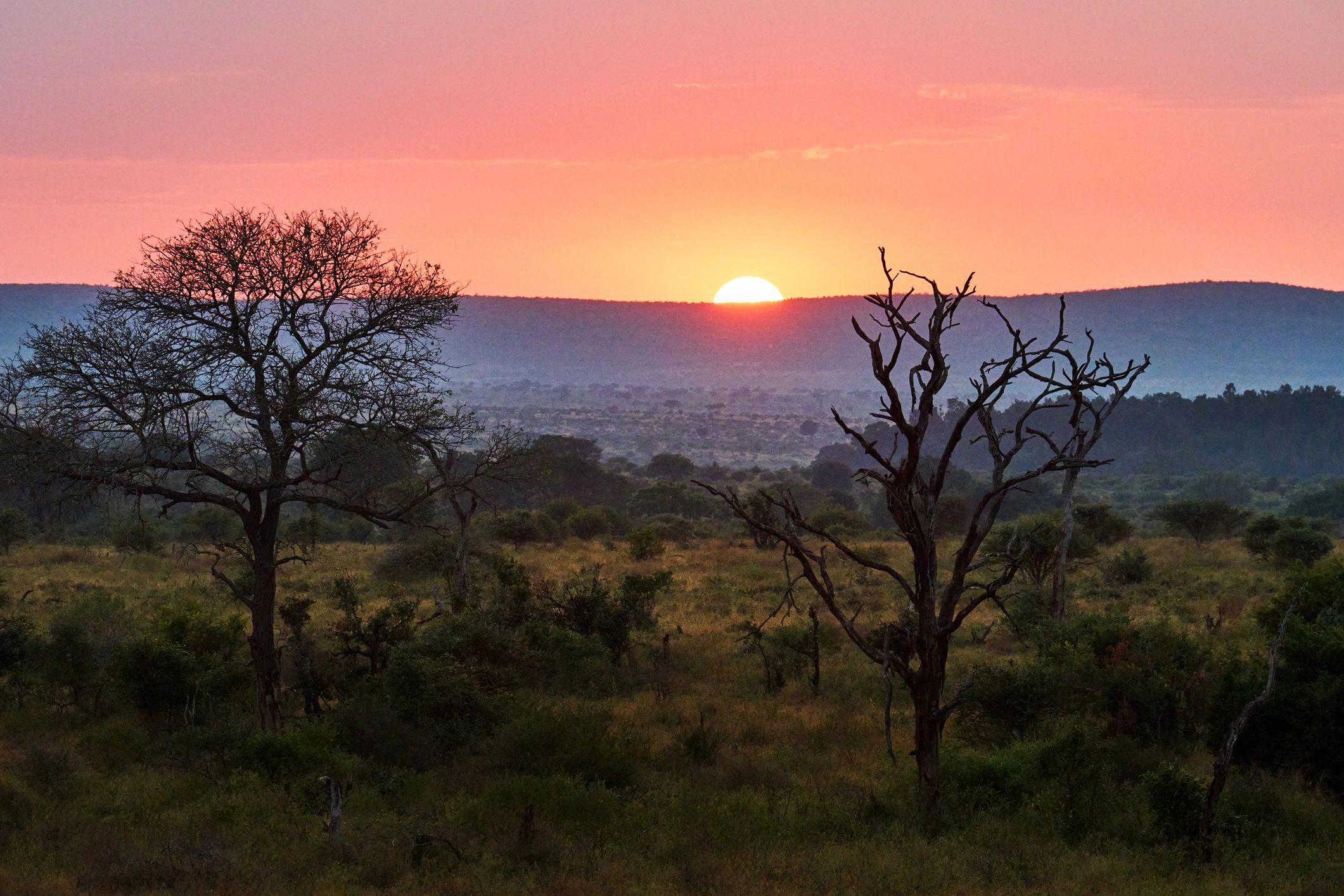 Safari sunset over the bush