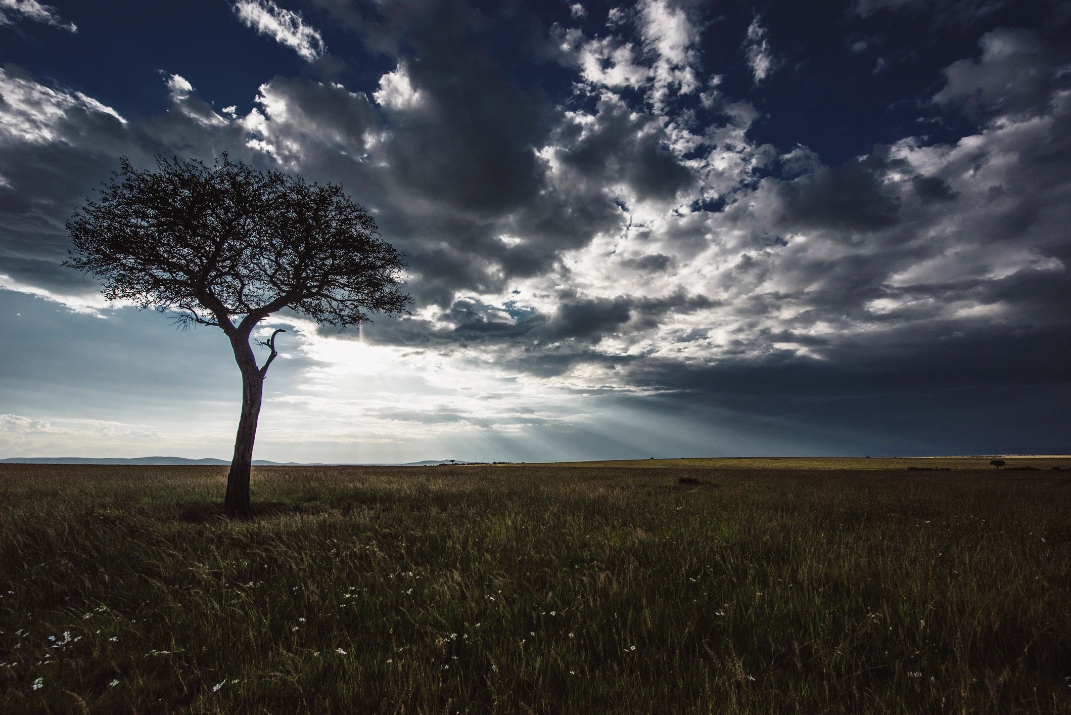 Wide East African savannah landscape