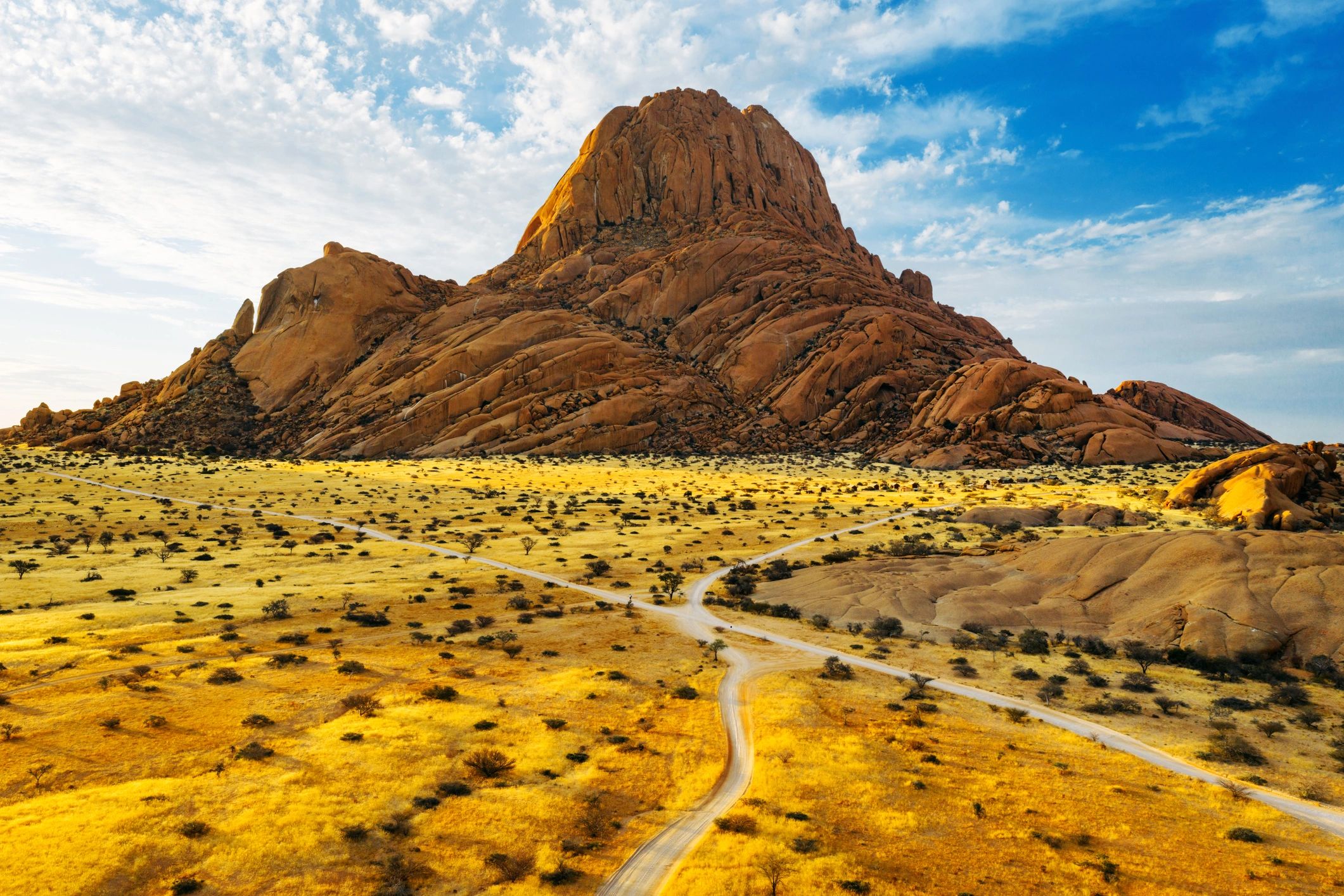 Desert safari landscape at sunset